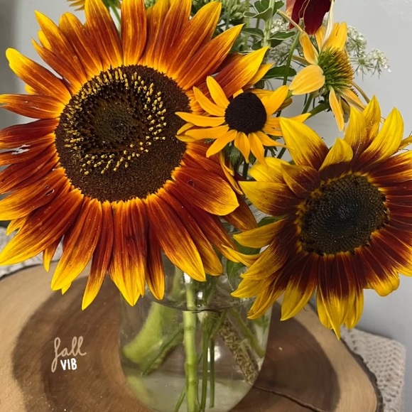 Meet your Posher, Tanya - Picture 1 of 1